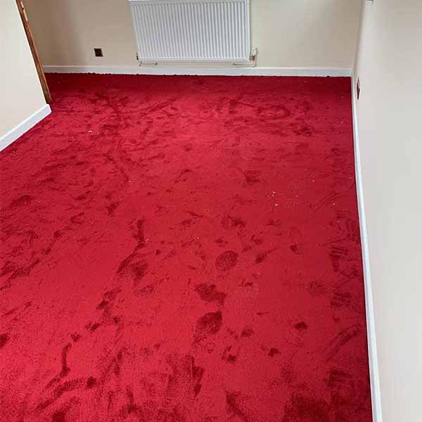 Red VIP wall to Wall carpet
