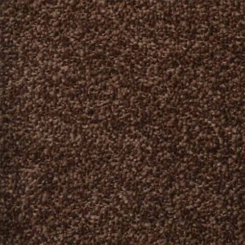 Brown VIP wall to Wall carpet