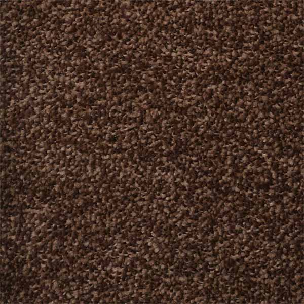 Brown VIP wall to Wall carpet