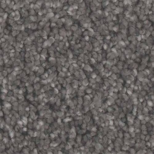 Grey Standard Wall to wall carpet