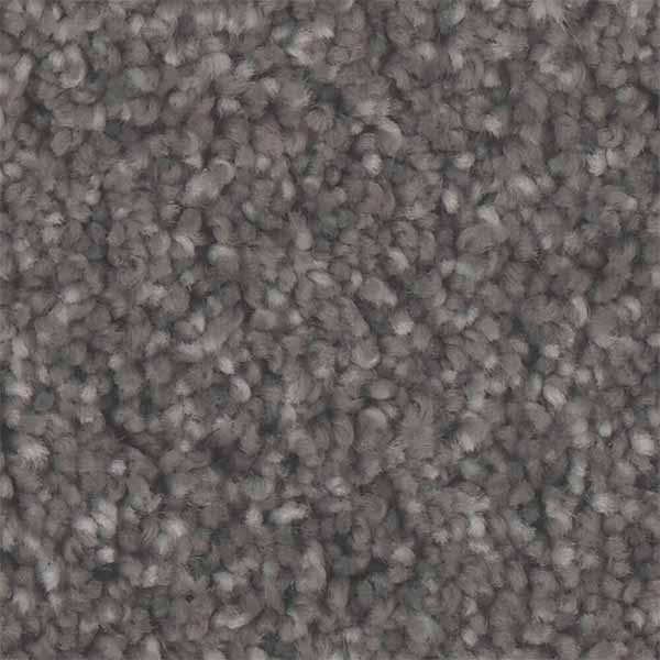 Grey Standard Wall to wall carpet